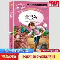 音像金银岛 美绘版(英)史蒂文森