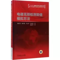 音像电磁无损检测数值模拟方法陈振茂 等 著