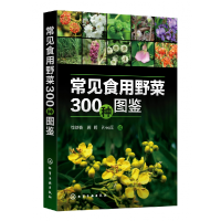 音像常见食用野菜300种图鉴徐晔春,蒋明,孙光闻 编