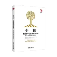 音像变数:中国数字企业模型及实践董小英