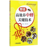 音像图说高效养中蜂关键技术王瑞生,任勤 编