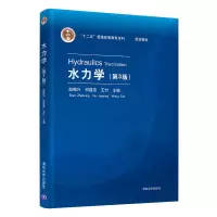 音像水力学(第3版)赵振兴,何建京,王忖