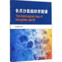 音像长爪沙鼠组织学图谱褚晓峰 主编