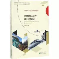 音像公共项目评估导引与案例林金炎 主编