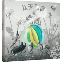 音像从天而降的奇迹(美)特里·范,(美)埃里克·范