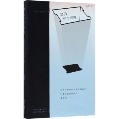 音像猫的两个夜晚黑丰 著