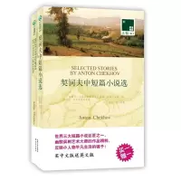 音像契诃夫中短篇小说选 双语译林013安东?契诃夫