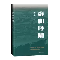 音像群山呼啸季宇