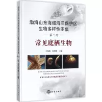 音像渤海山东海域海洋保护区生物多样图集王茂剑,宋秀凯 主编