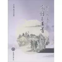 音像启迪楷书《宋词三百首》今释卷袁守启 主编