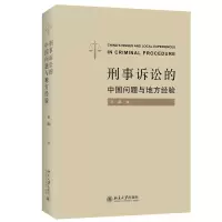 音像刑事诉讼的中国问题与地方经验王彪