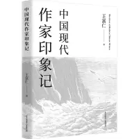 音像中国现代作家印象记王富仁