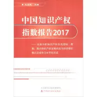 音像中知识权指数报告.2017王正志 主编