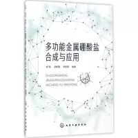 音像多功能金属硼酸盐合成与应用杨军,郭俐聪,郑学家 编著