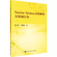 音像Navier-Stokes方程解的大时间行为韩丕功,朝