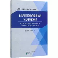 音像企业跨国迁徙的微观机理与宏观调控侯贵,武志恒 著