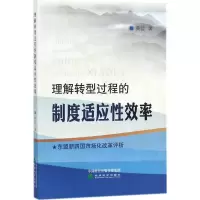 音像理解转型过程的制度适应效率黄信 著