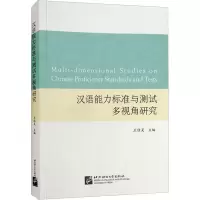 音像汉语能力标准与测试多视角研究王佶旻 编