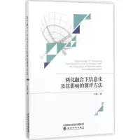 音像两化融合下信息化及其影响的测评方法刘敏 著