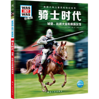 音像骑士时代(德)安德烈·沙勒