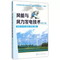 音像风能与风力发电技术(第3版)王建录