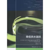 音像降低供水漏损(美)吴正易 等 著