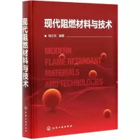 音像现代阻燃材料与技术(精)钱立军