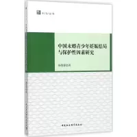 音像中国未婚青少年妊娠结局与保护因素研究杨蓉蓉 著