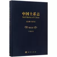 音像中国土系志王天巍 著