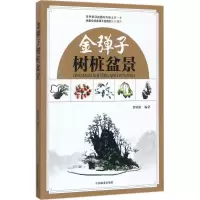 音像金弹子树桩盆景曹明君 编著