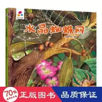 音像品悦绘本馆:水晶蜘蛛网经纬童书馆