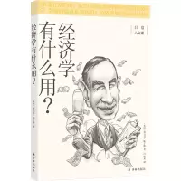 音像经济学有什么用/日常人文课[英]泰吉万·帕丁格著,卢周来 译
