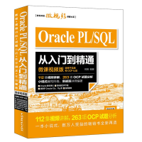 音像Oracle PL/SL从入门到精通何明 编著