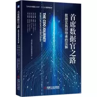 音像首席数据官之路 数据实践的见解(美)彼得·艾肯 等