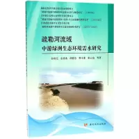 音像疏勒河流域中游绿洲生态环境需水研究孙栋元 等 著
