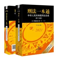 音像刑事诉讼法一本通+刑法一本通共2册李立众