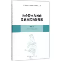 音像社会资本与西南民族地区和谐发展黎珍 著