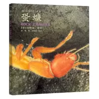 音像馆野鸿昆虫手绘:蛩蠊(精)作者