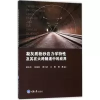 音像凝灰质粉砂岩力学特及其在大跨隧道中的应用舒志乐 等 著