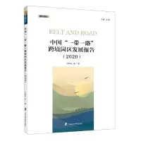 音像中国跨境园区发展报告(2020)/国经报告沈桂龙等