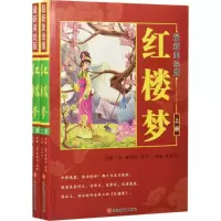 音像美绘版红楼梦(清)曹雪芹,(清)高鹗 原著;袁宏宾 改编