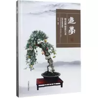 音像追梦张忠涛 编著