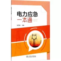 音像电力应急一本通刘宏新 主编