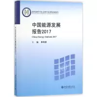 音像中国能源发展报告.2017林伯强 主编