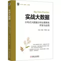 音像实战大数据 分布式大数据分析处理系统开发与应用作者
