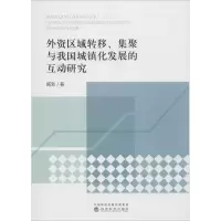 音像外资区域转移、集聚与我国城镇化发展的互动研究臧新 著