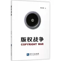 音像版权战争杨延超 著