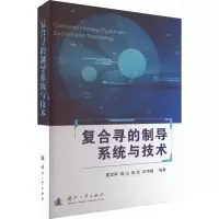 音像复合寻的制导系统与技术翟龙军