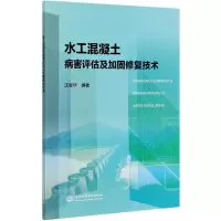 音像水工混凝土病害评估及加固修复技术沈继华