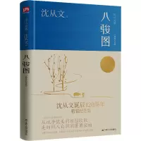 音像八骏图(精装纪念版)沈从文
